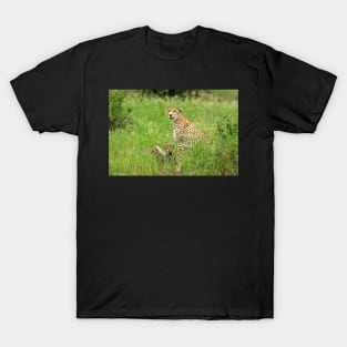 Cheetah Adult and Cubs, Tarangire National Park Tanzania T-Shirt